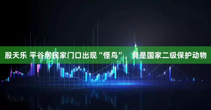 股天乐 平谷居民家门口出现“怪鸟”，竟是国家二级保护动物