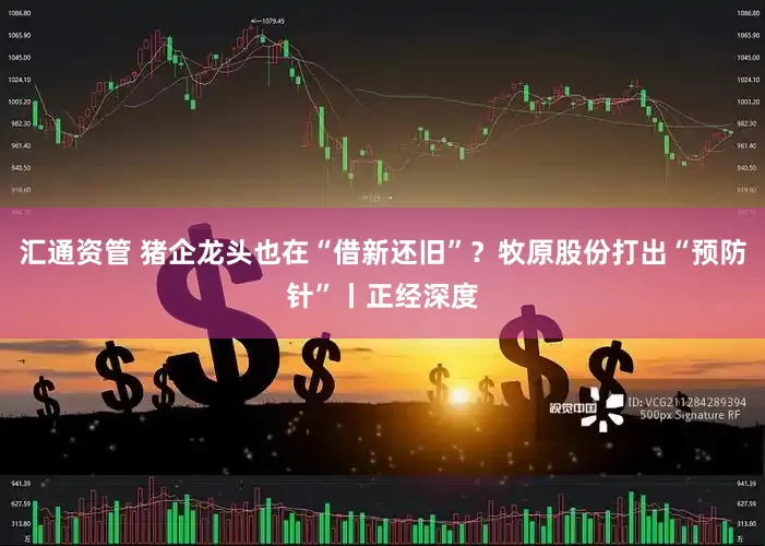 汇通资管 猪企龙头也在“借新还旧”？牧原股份打出“预防针”丨正经深度