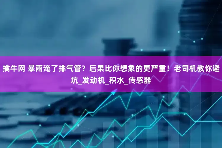 擒牛网 暴雨淹了排气管？后果比你想象的更严重！老司机教你避坑_发动机_积水_传感器