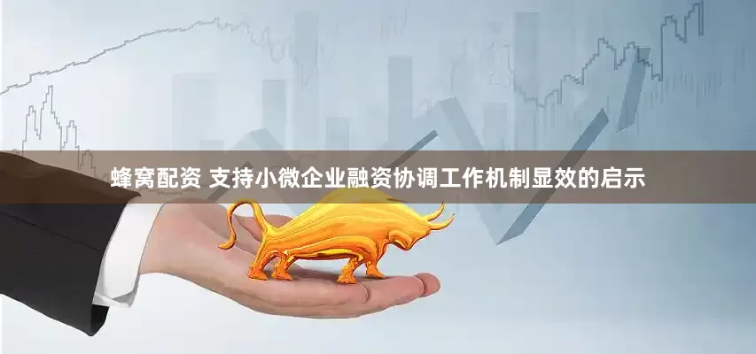 蜂窝配资 支持小微企业融资协调工作机制显效的启示