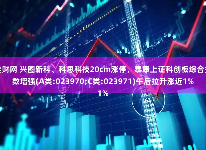 堆财网 兴图新科、科思科技20cm涨停，泰康上证科创板综合指数增强(A类:023970;C类:023971)午后拉升涨近1%