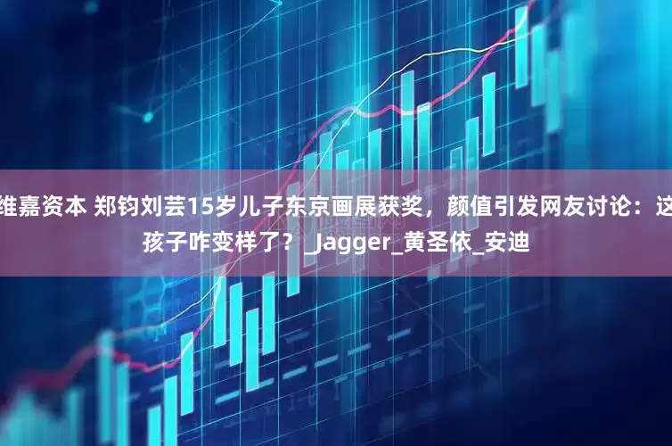 维嘉资本 郑钧刘芸15岁儿子东京画展获奖，颜值引发网友讨论：这孩子咋变样了？_Jagger_黄圣依_安迪