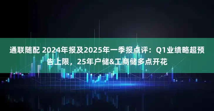 通联随配 2024年报及2025年一季报点评：Q1业绩略超预告上限，25年户储&工商储多点开花