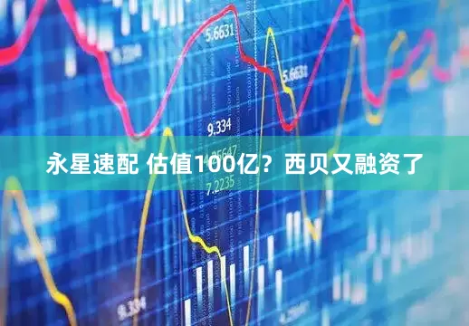 永星速配 估值100亿？西贝又融资了