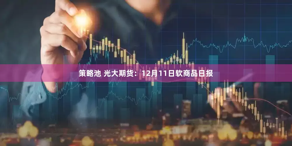 策略池 光大期货：12月11日软商品日报